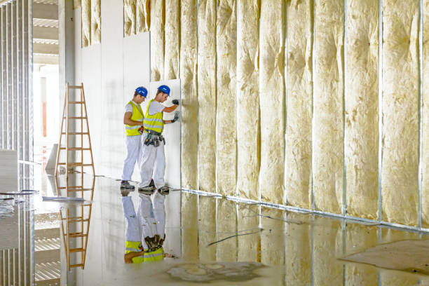 Best Insulation Maintenance and Repair in Griswold, IA